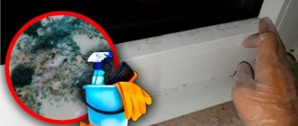 Repair and decoration: how to seal cracks in windows if it’s cold and there are drafts?